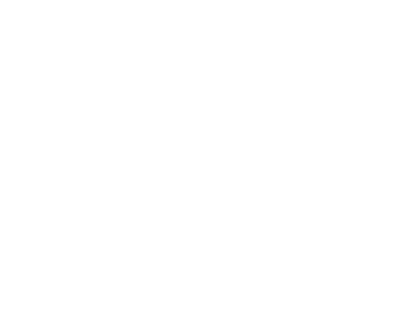 El Escudo Internacional, S.A. — Comercialización de Combustibles